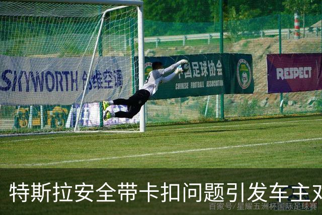 特斯拉安全带卡扣问题引发车主对质量的质疑